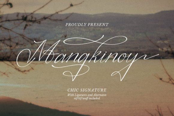 Mangkinoy Typeface: A Stylish Script for Elegant Web Design