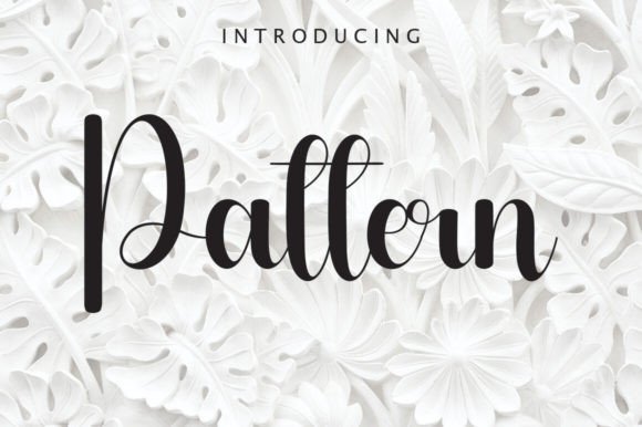Pattern Font Review: A Designer’s Take on Script Amp