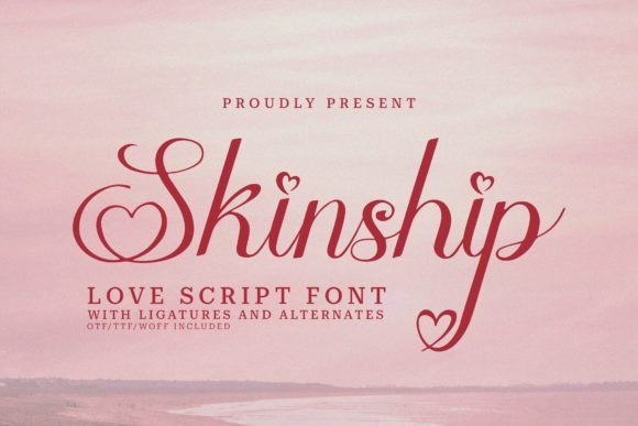 Skinship Review: A Designer’s Take on This Script Amp