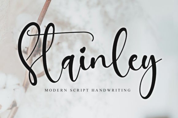 Stainley Script Font: Elevate Handmade Branding with Graceful Typography