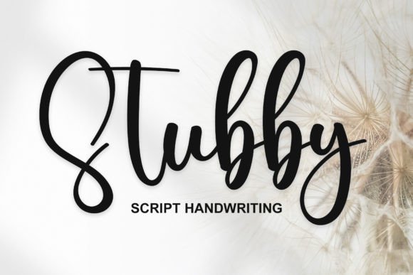 Stubby Typeface: Elevating Digital Brand Identity